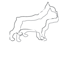 Szmalec PR |  PR & content marketing agency in Poland
