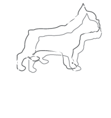 Szmalec PR |  Agencja strategii, PR i content marketingu